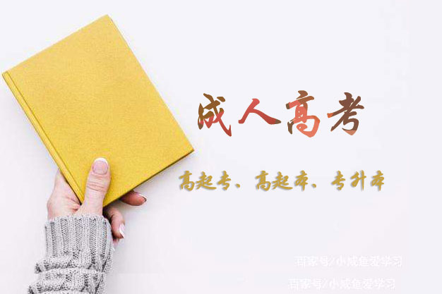 2019ϳ˸߿